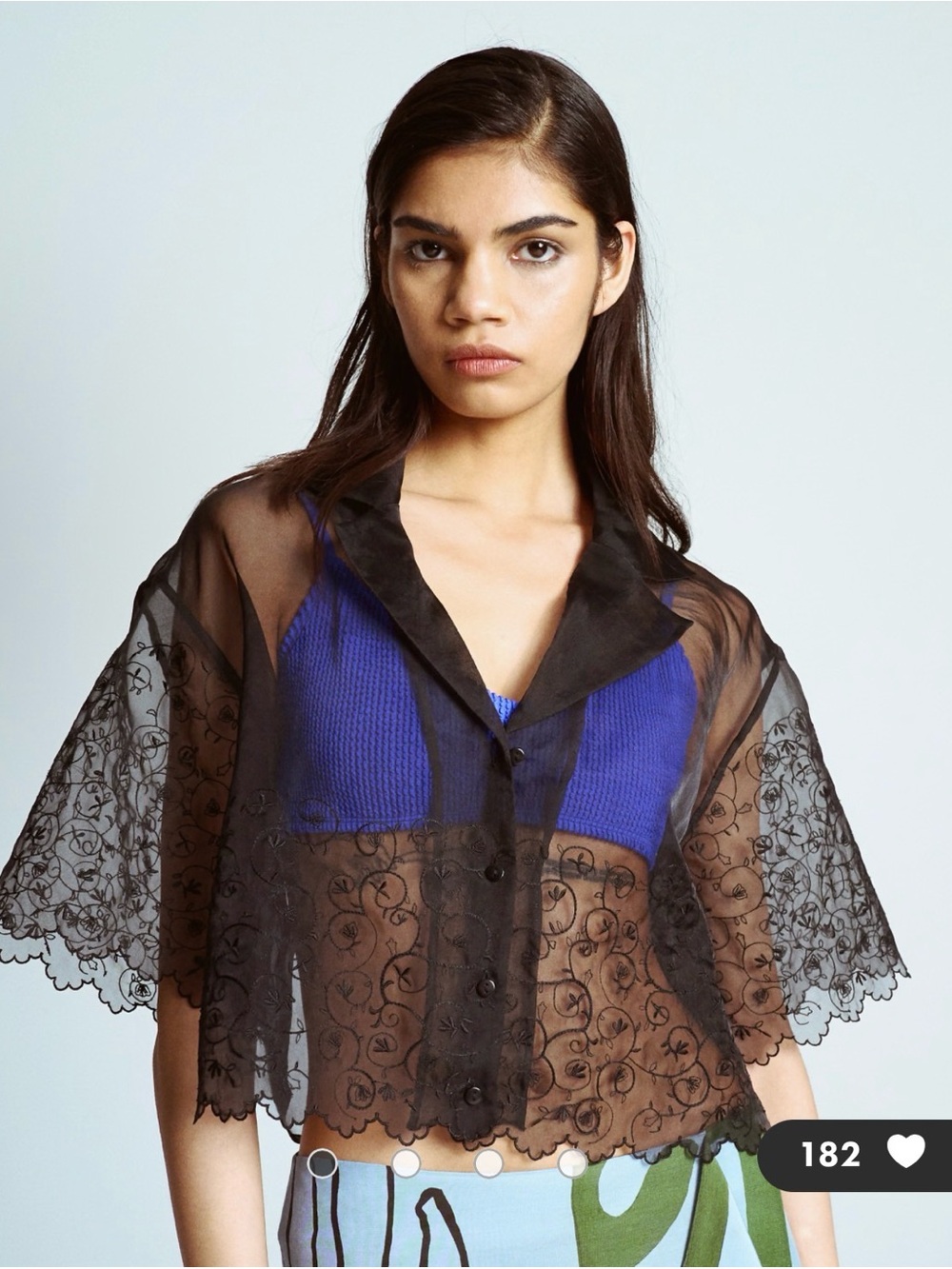 NWT: Topshop Crop Organza Embroidered Shirt in Black, sz. Medium